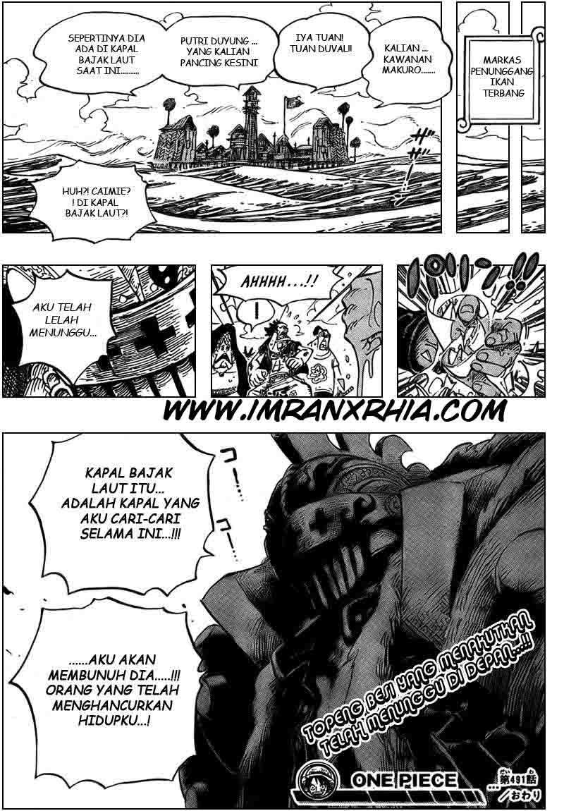 One Piece — Chapter 491, halaman 19