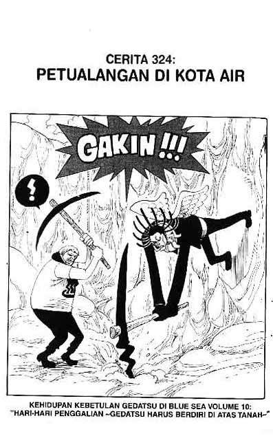 One Piece — Chapter 324, halaman 1