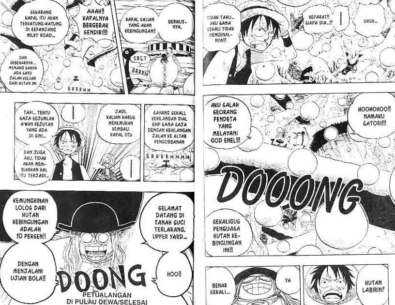 One Piece — Chapter 246, halaman 10