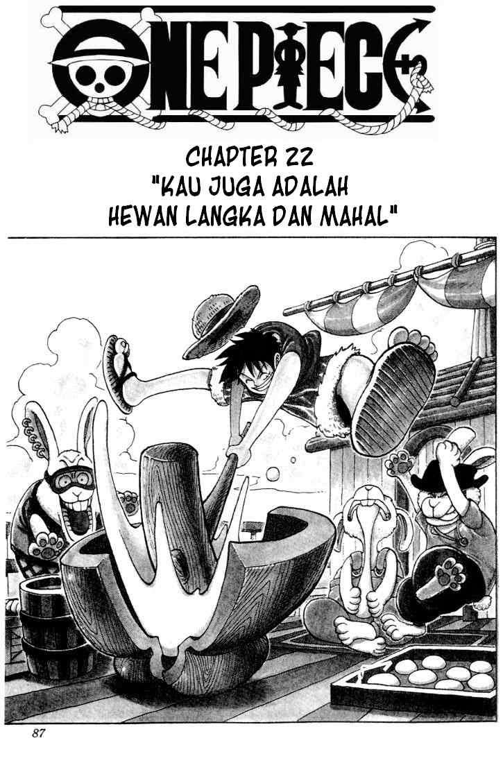 One Piece — Chapter 22, halaman 1
